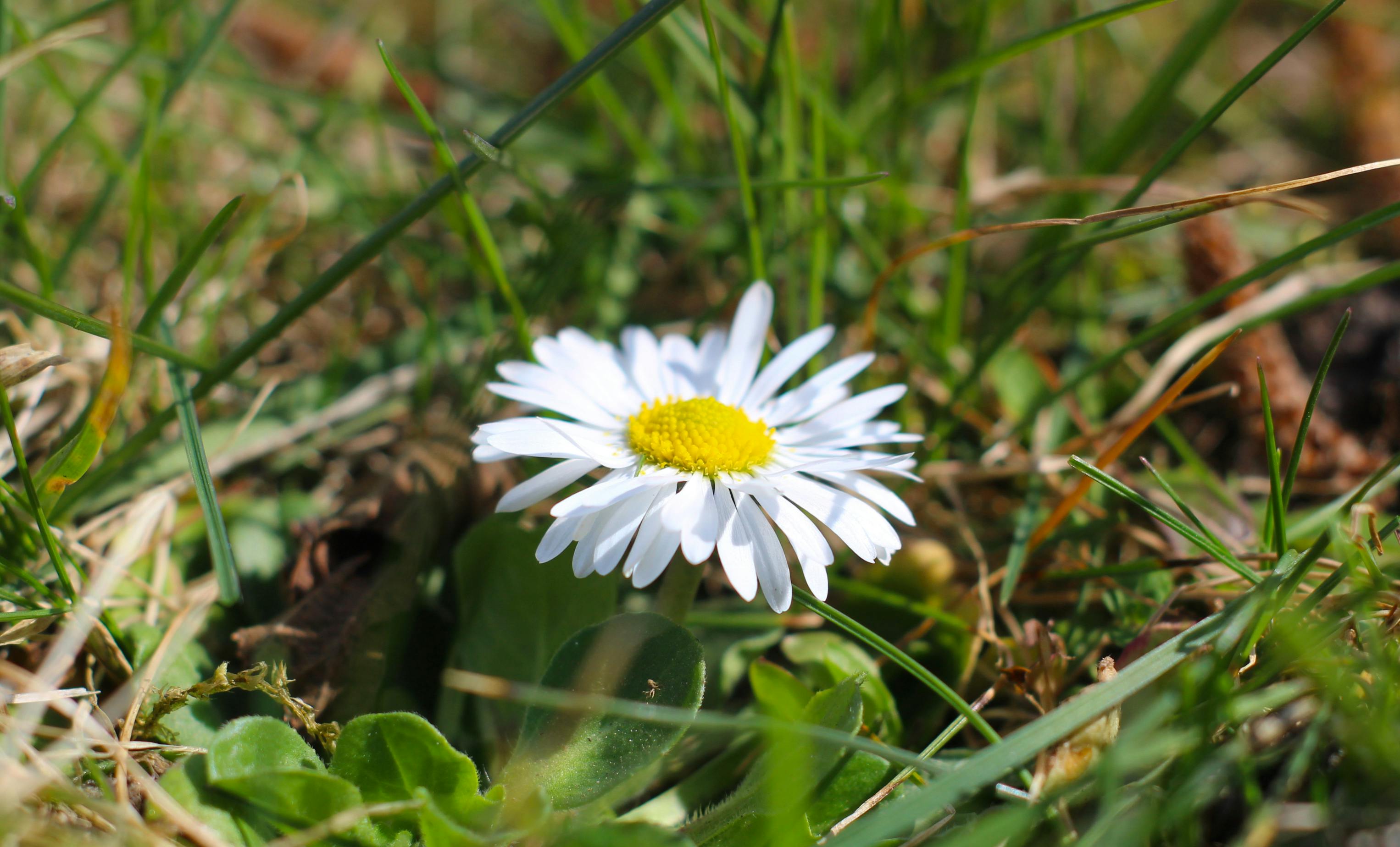 April 2026 Cash Draw Winners