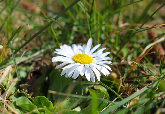 April 2026 Cash Draw Winners