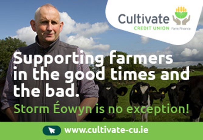 Cultivate: Supporting farmers in the aftermath of Storm Éowyn
