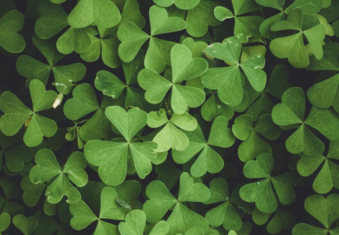 March 2026 Cash Draw Winners